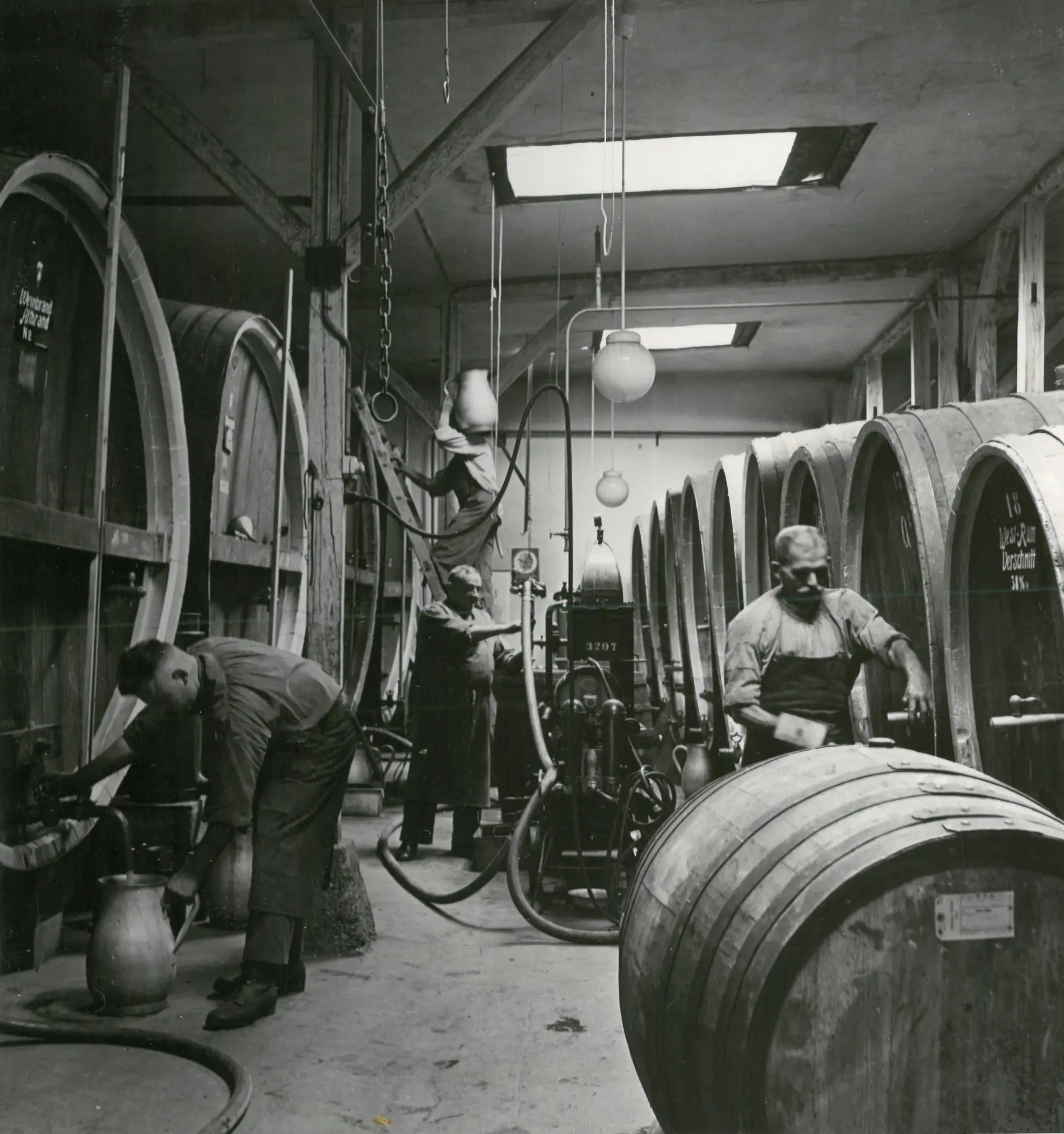 Workers in the barrel cellar of the Jacobi distillery, historic photo