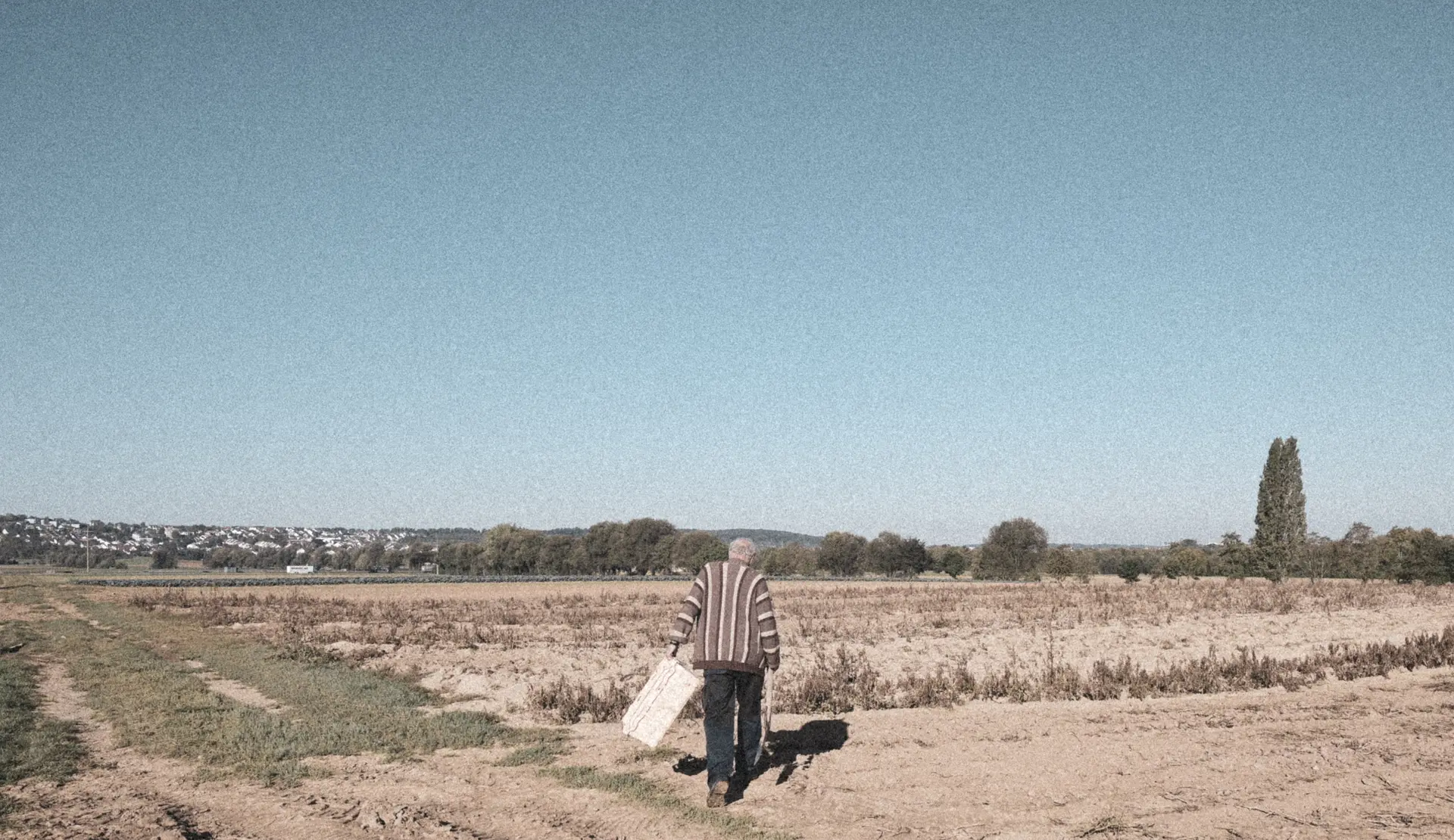 Farmer walking across the potato field
