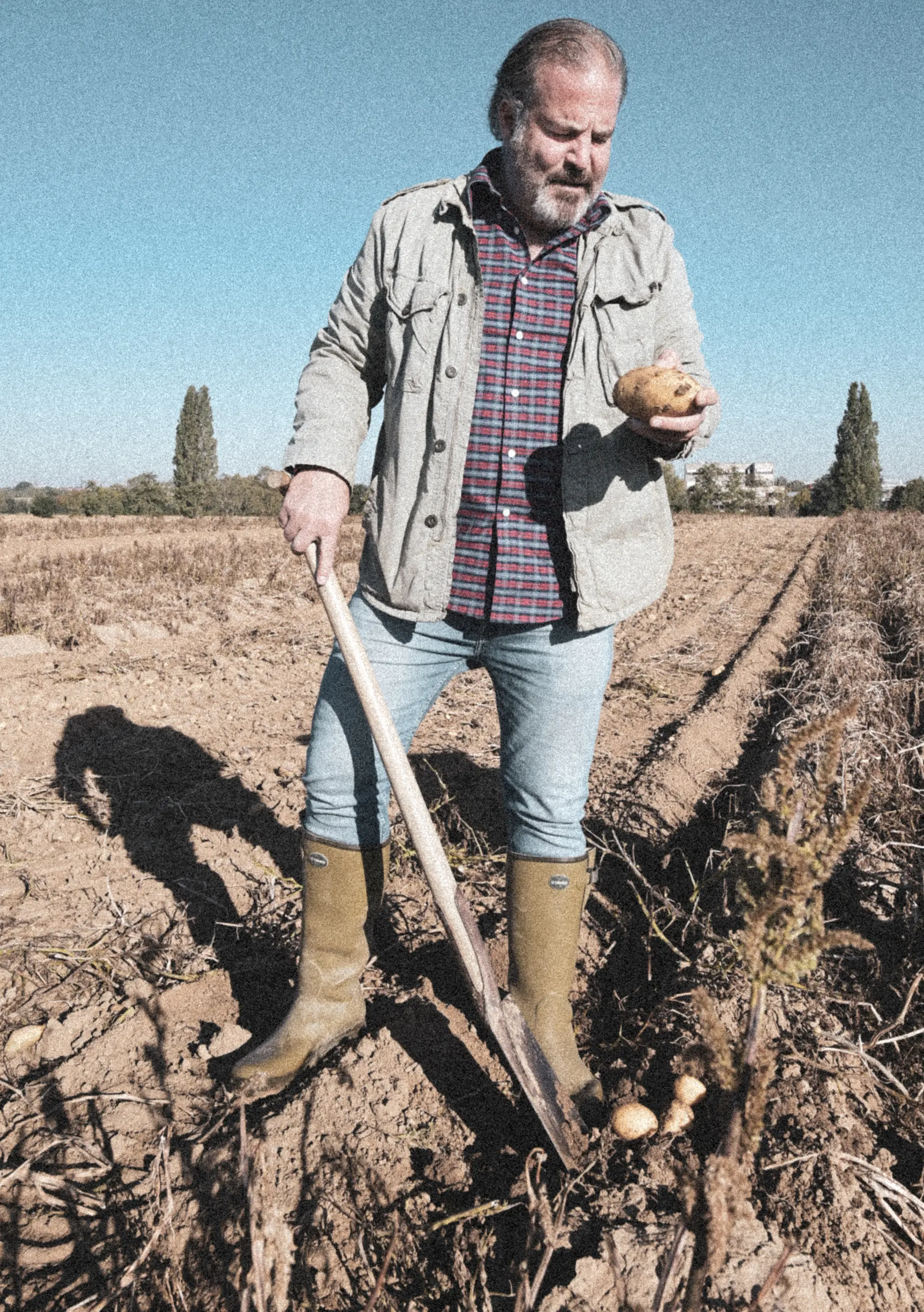 Farmer with a digging fork on the potato field