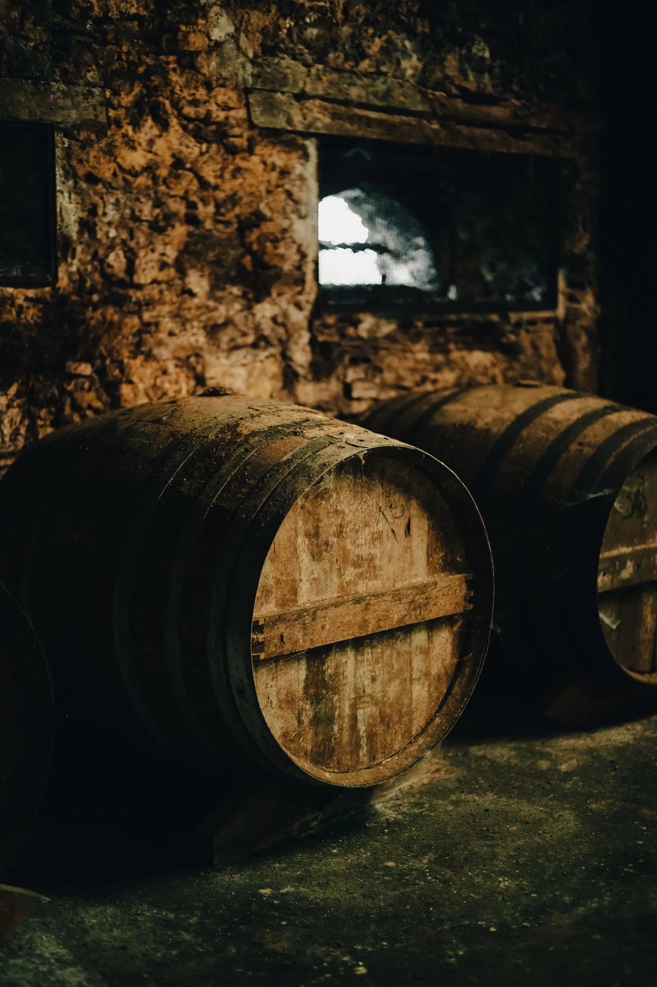 Old oak casks in the Armagnac cellar