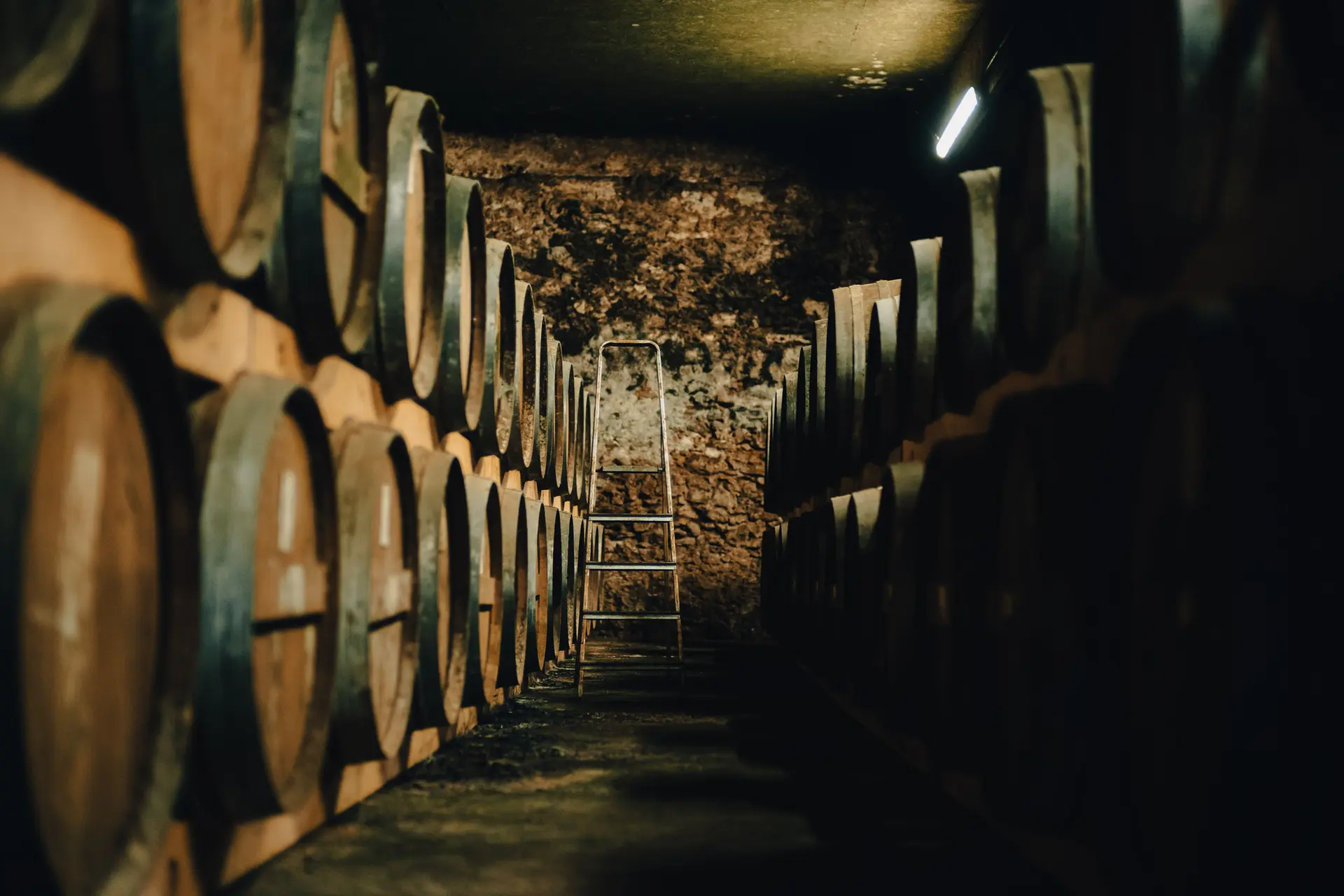 Aisle between Armagnac casks in the cellar