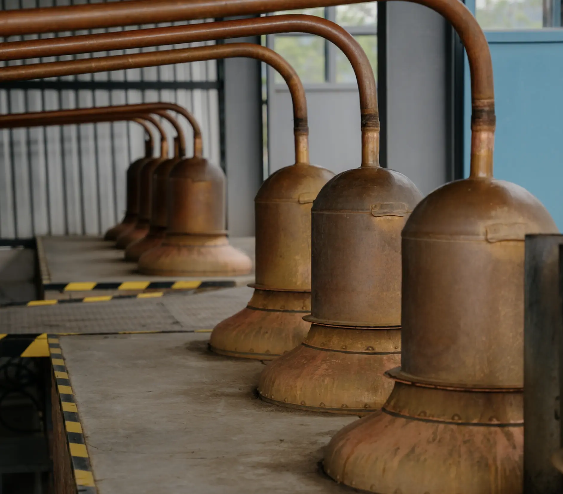 Copper stills of the Rosaluna distillery